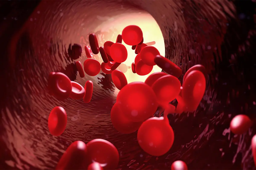 Blood Clot in Heart Survival Rate: Life Expectancy Facts