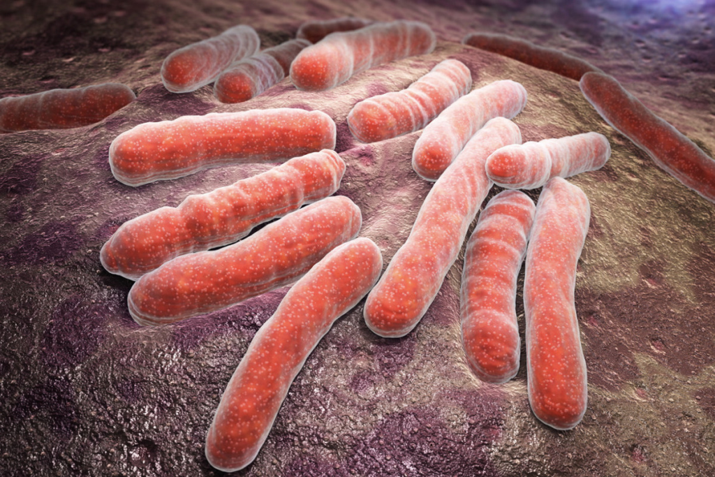 Bacteremia: The Ultimate Guide to Blood Infection