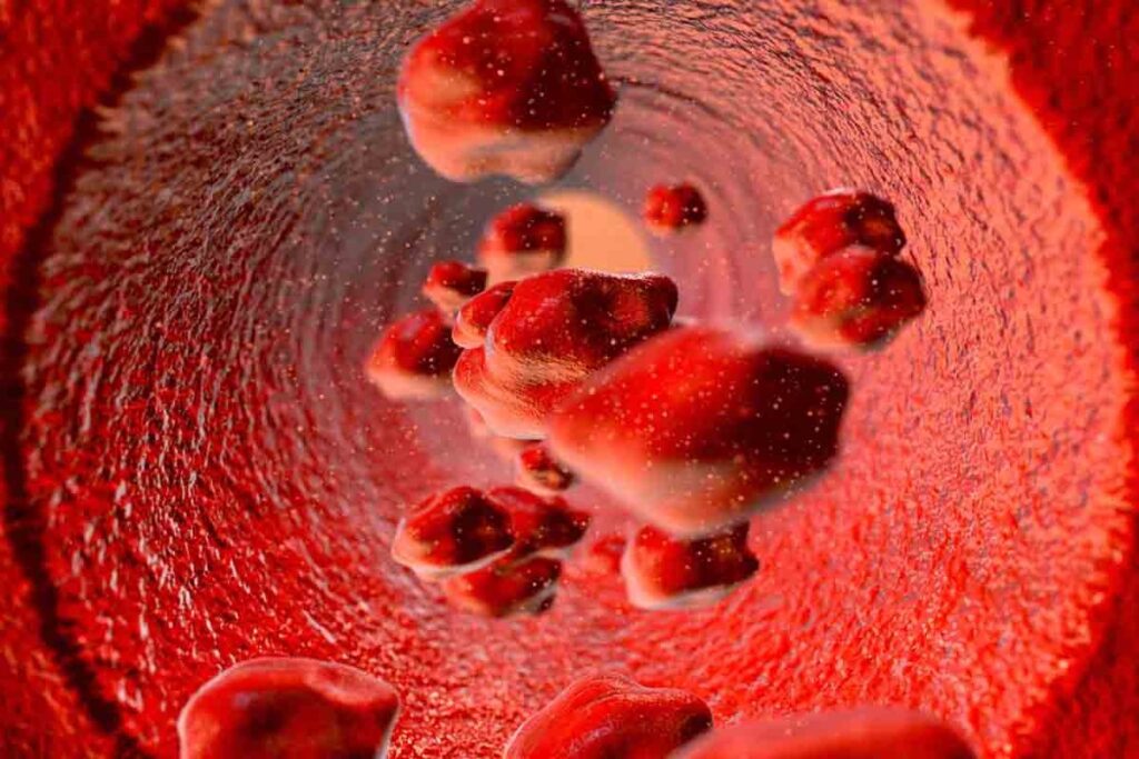 7 Key Facts Pertaining to a Red Blood Cell of Irregular Shape