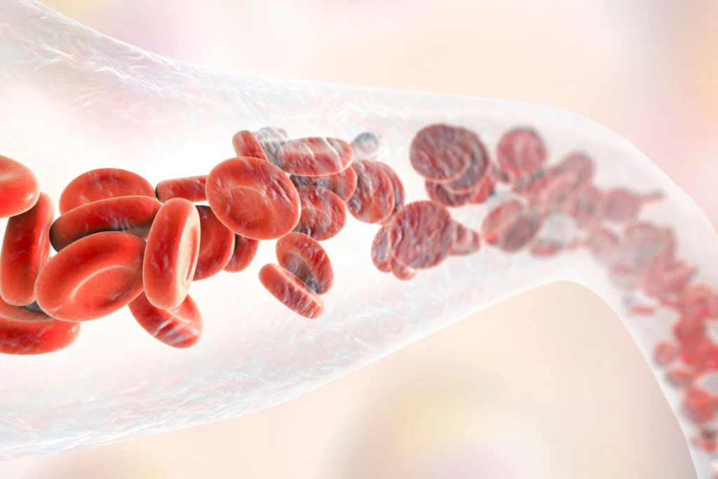 Natural Blood Thinners: An Amazing, Powerful List