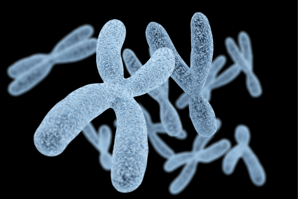 Miller Fisher Syndrome: Expert Rare Condition