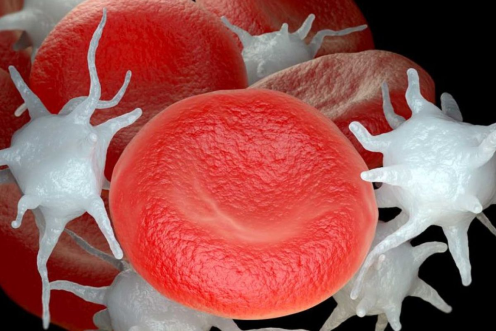 Eczema Thrombocytopenia: Serious Negative WAS Effects