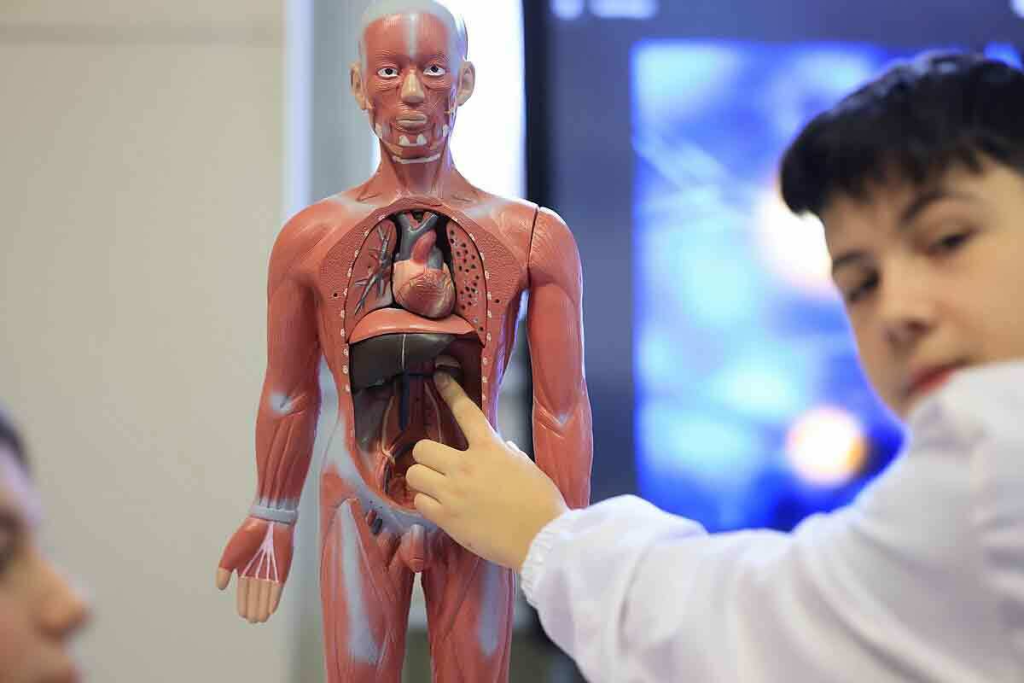 CT Scan With Metal in Body: Crucial Facts About Effects