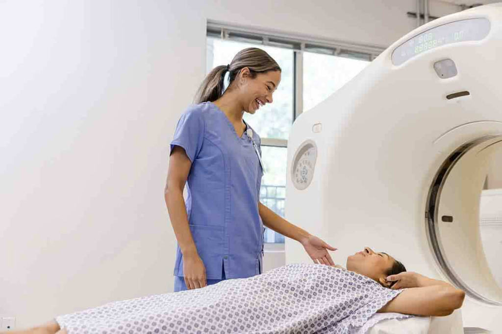 Cat CT: 7 Key Facts About CT Scans