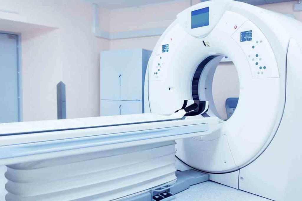 Cat CT: 7 Key Facts About CT Scans