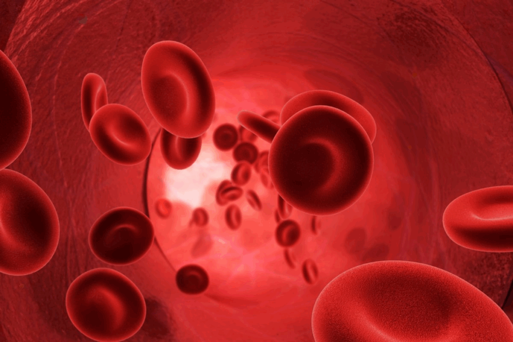 Can Stress Cause High Red Blood Cell Count? The Amazing Link