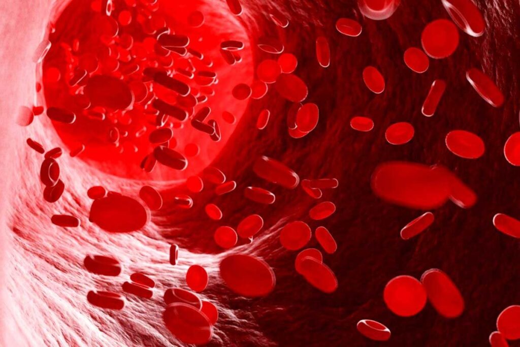 Drepanocytose in English: 7 Key Facts About Sickle Cell Disease Explained