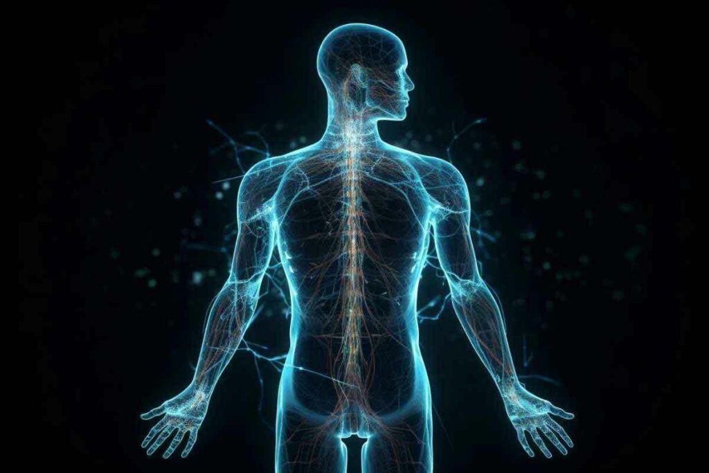 Precautions After a PET Scan: 7 Key Steps