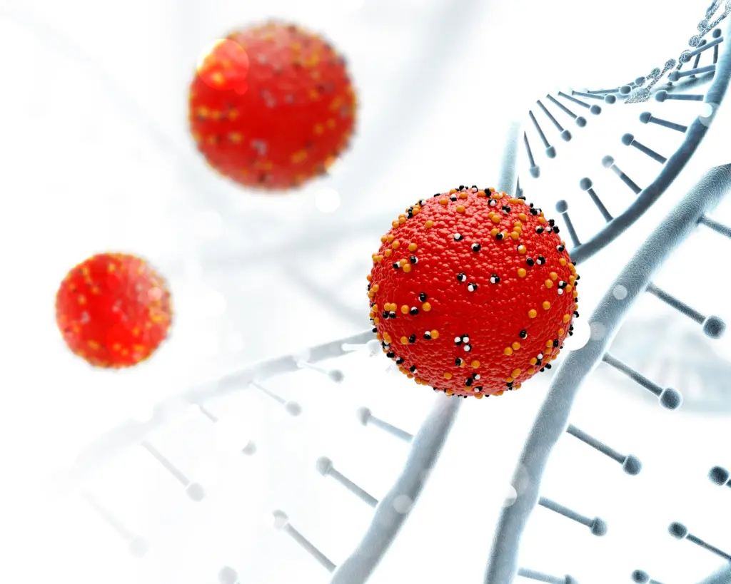 sources of stem cells for hsct