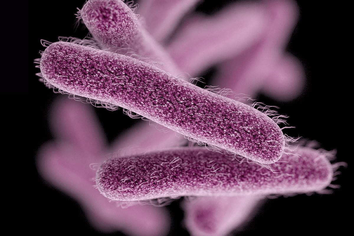 Bacterial Acute Pharyngitis Treatment Guide