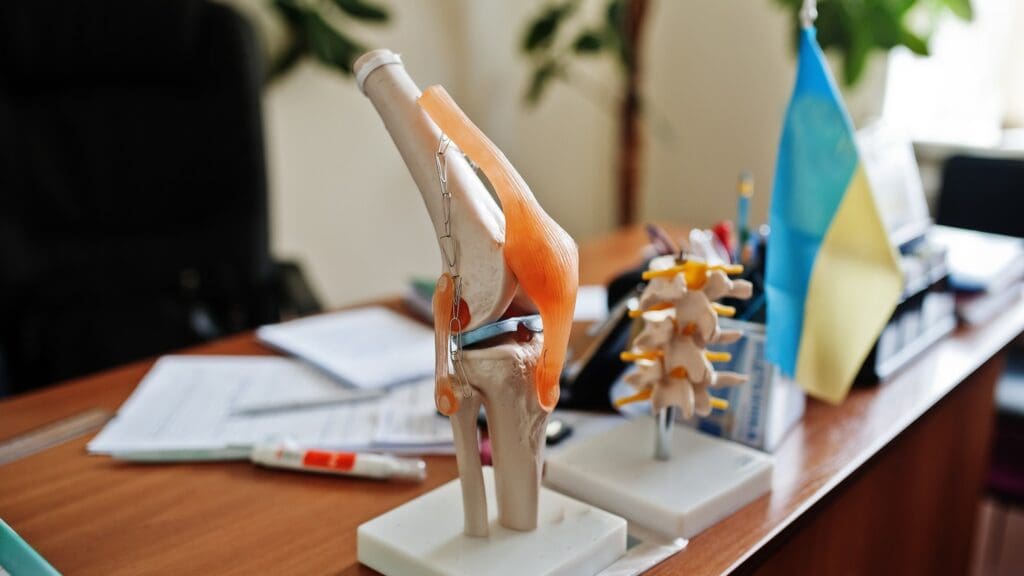 knee ligaments knee ligaments