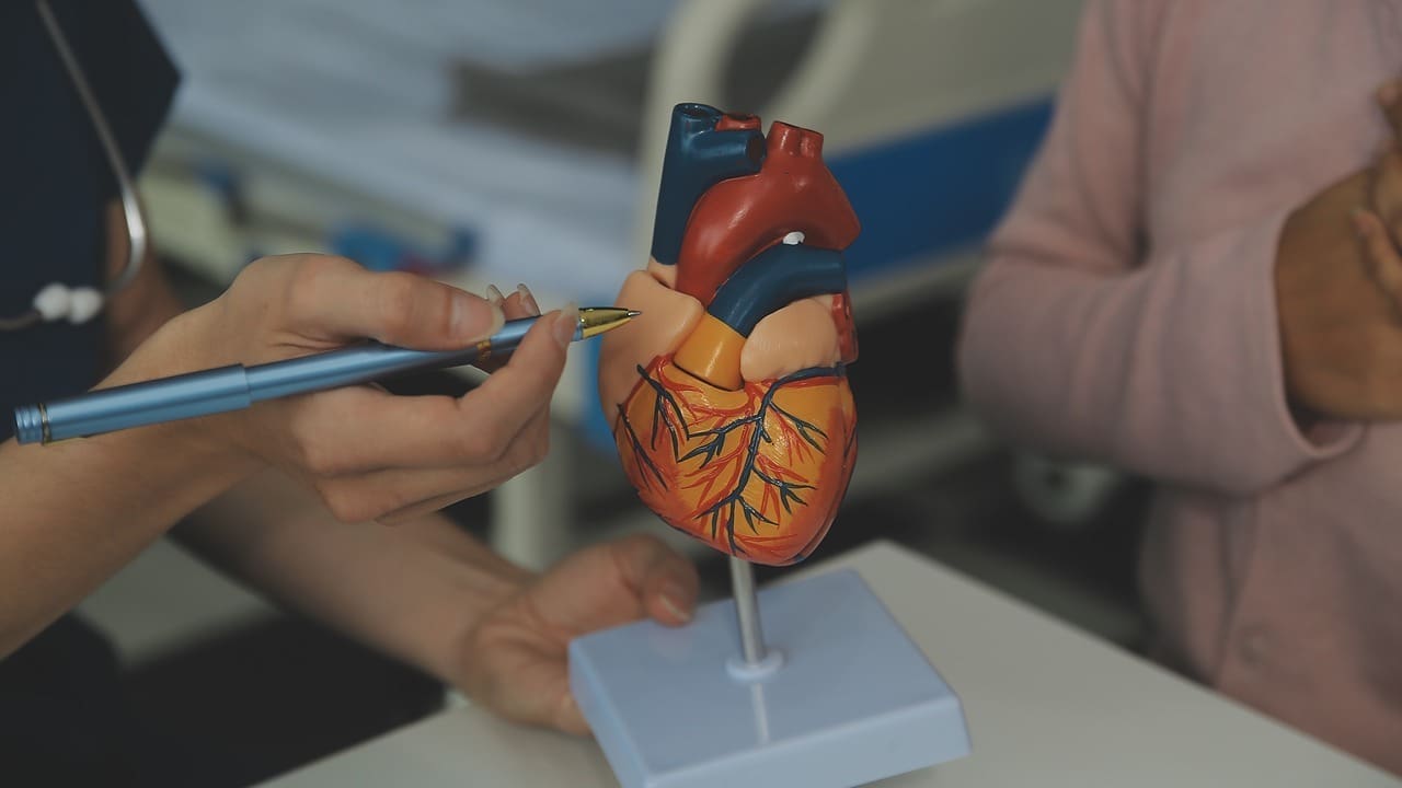 Mitral Valve Ring Repair: 7 Key Facts About Annuloplasty Techniques