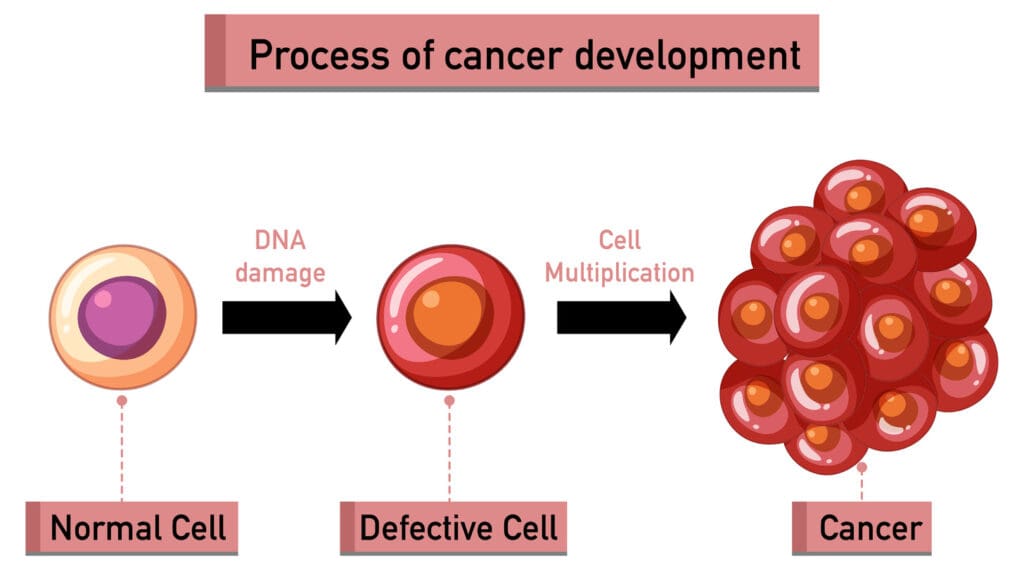 neoplasm development neoplasm development
