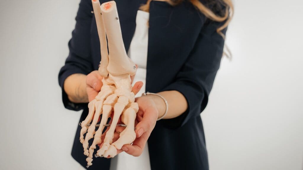 proximal tibia proximal tibia