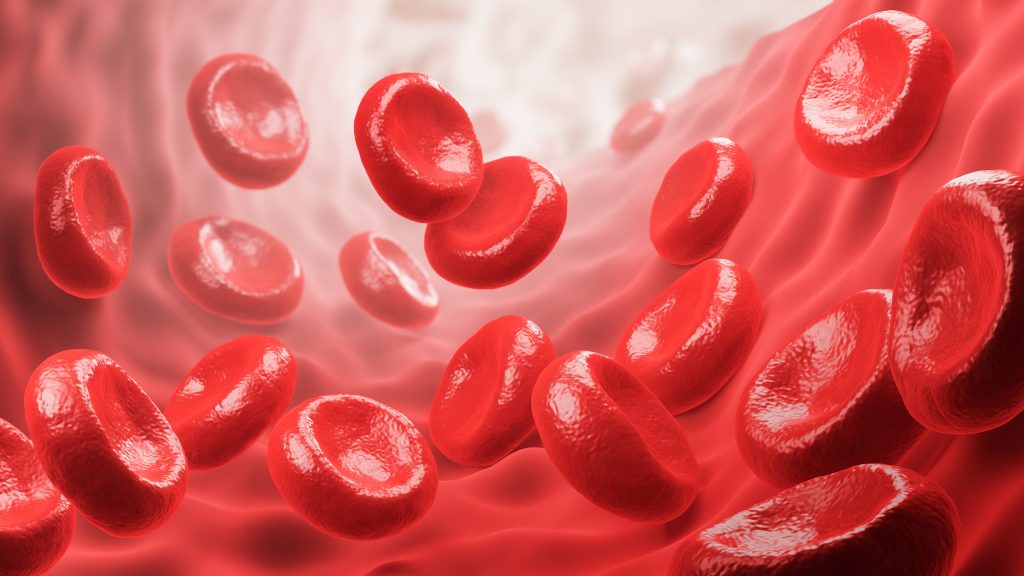 warning signs of hemophilia