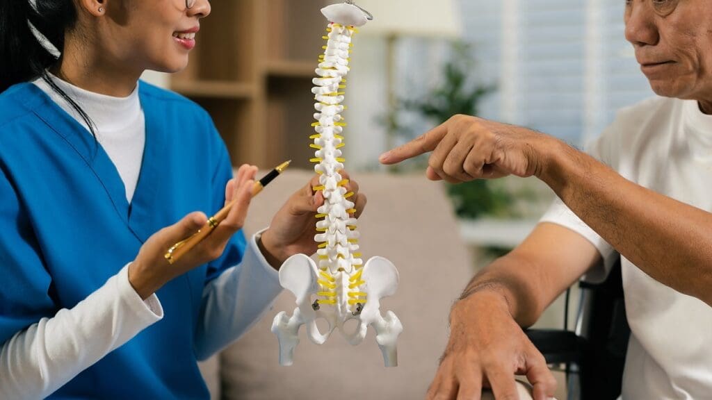 vertebral fusion vertebral fusion