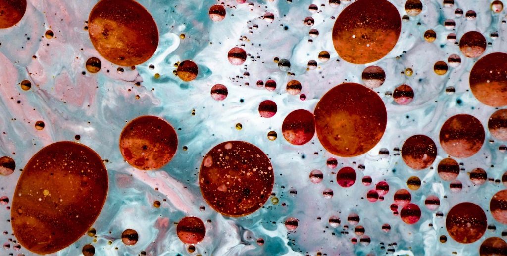 what are haematopoietic stem cells