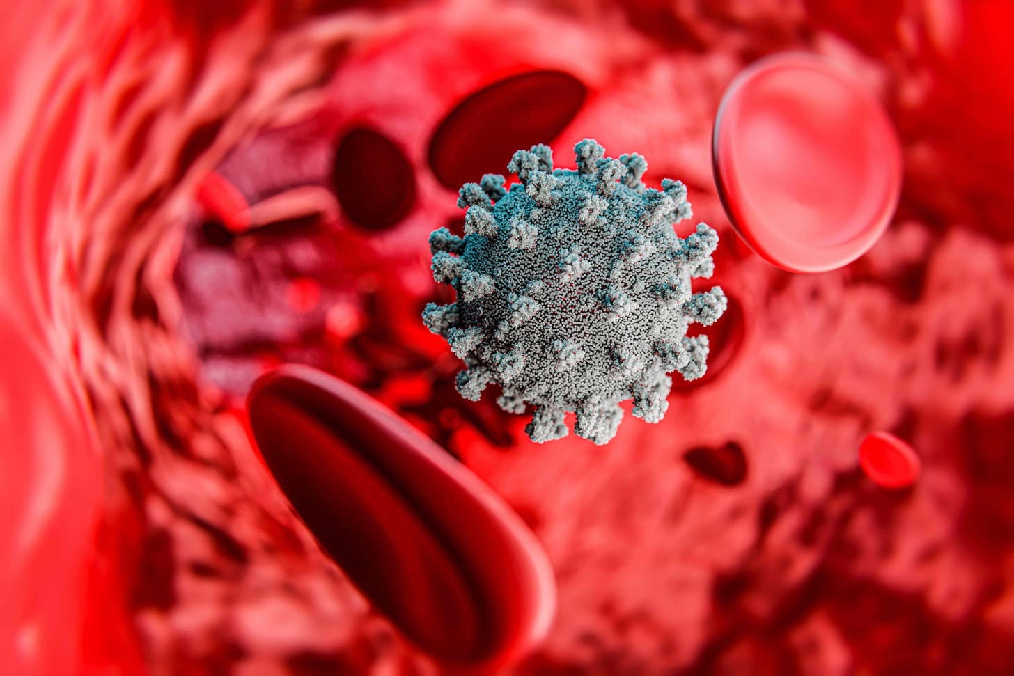 What Is Hemopoiesis and How Does Hematopoiesis Occur in Bone Marrow?