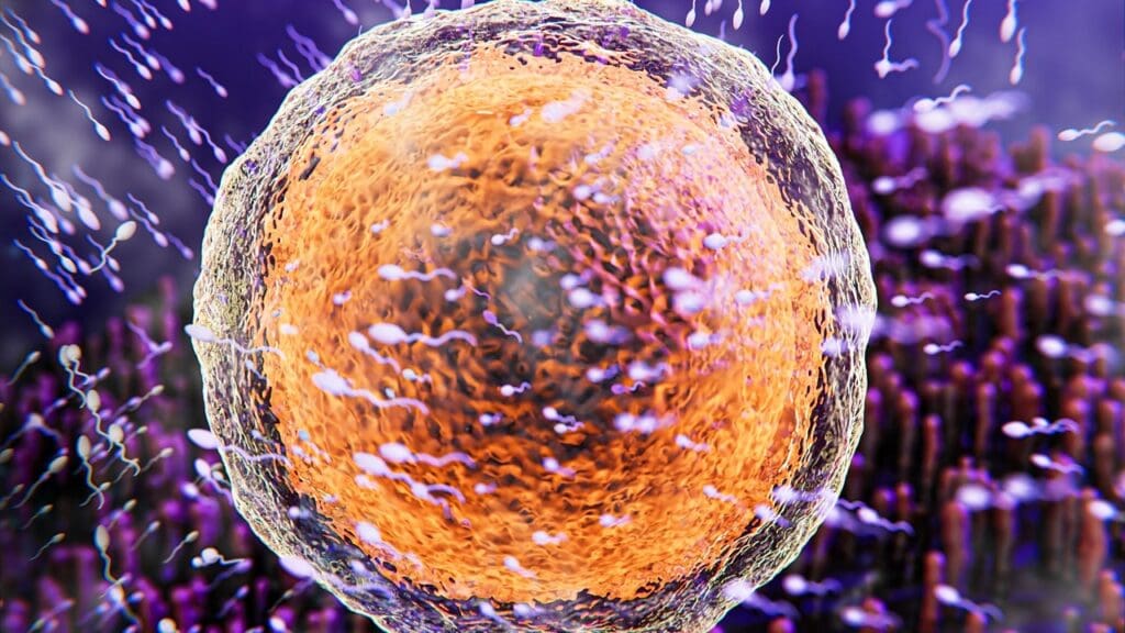 Where Does Sperm Go After Prostatectomy and Can You Still Ejaculate or Get Pregnant?