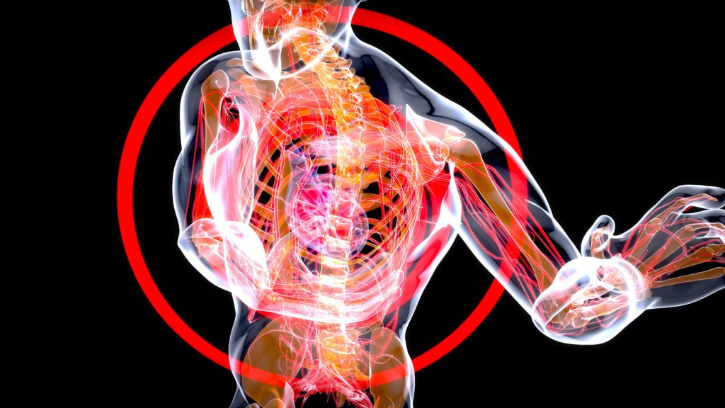 where in the body are hematopoietic stem cells found