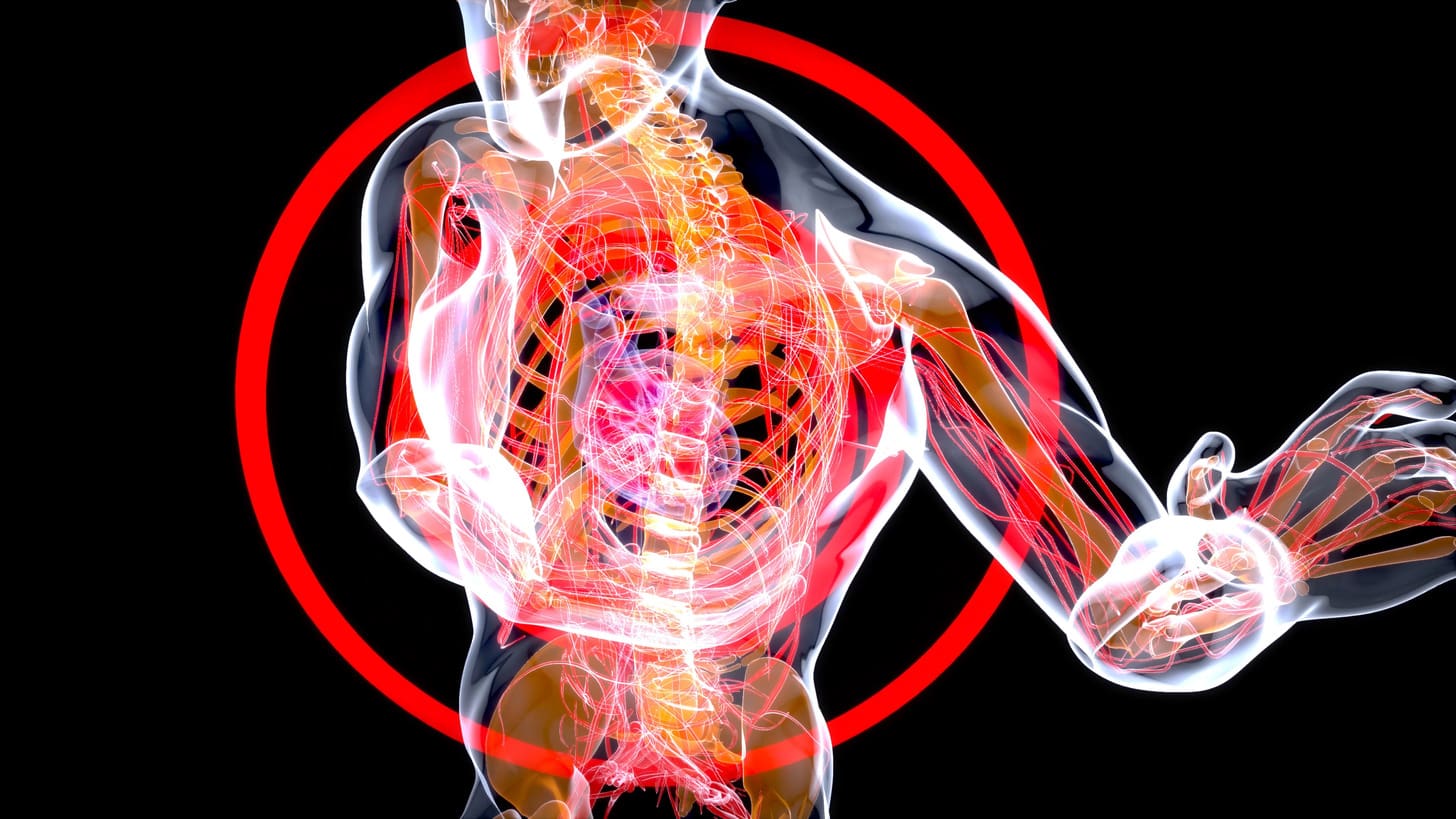 Where in the Body Are Hematopoietic Stem Cells Found and Why Are They Important?