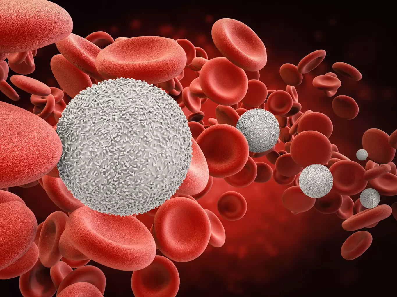 7 Key Facts About White Blood Cells Eating Red Blood Cells in Blood Cancer
